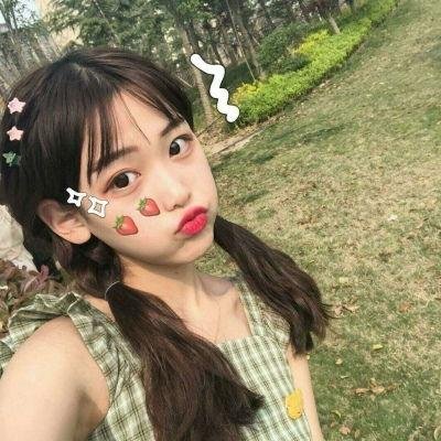 汪星人的奇思妙想