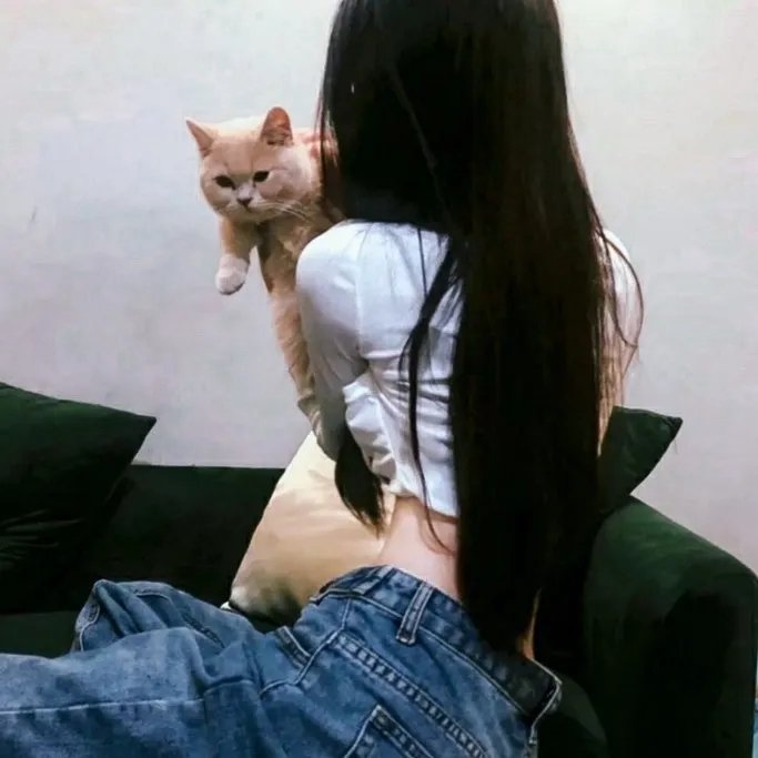 怪侠小可怜