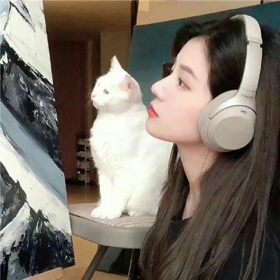 星掠者